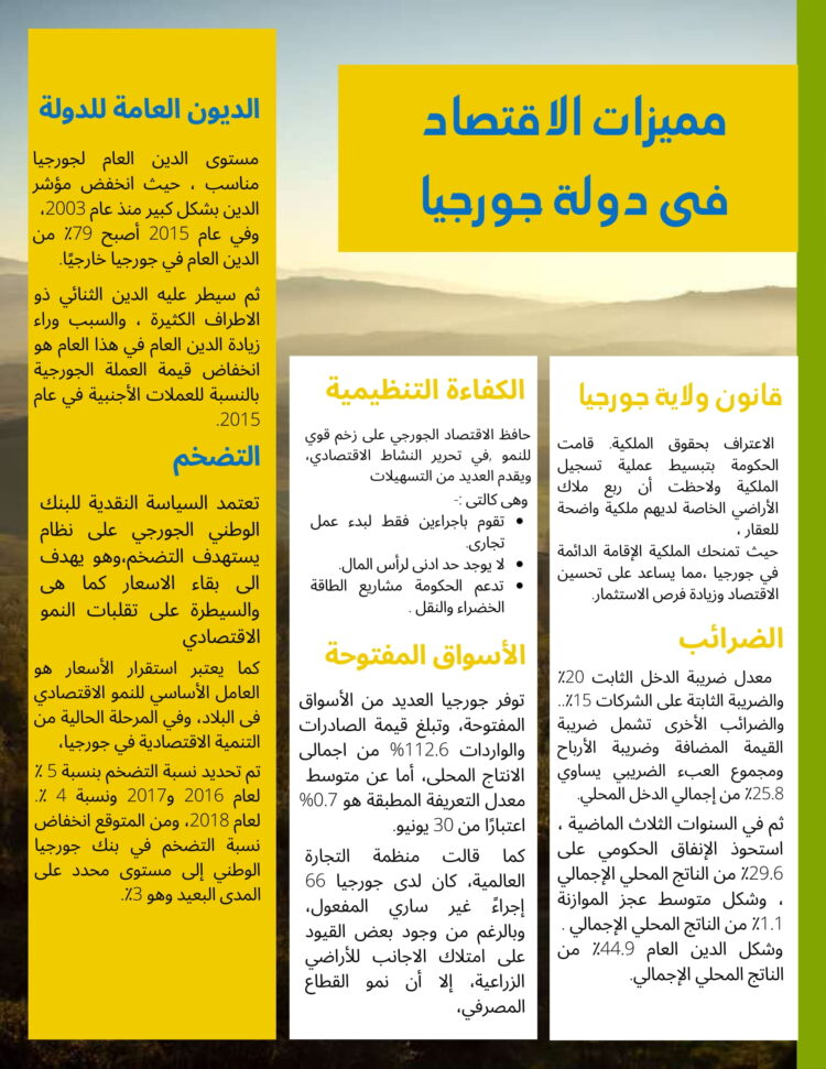 مميزات الاقتصادفى دولة جورجيا